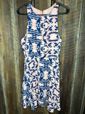 Everly Pink and Navy Abstract Sleeveless Fit & Flare Dress
